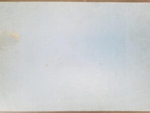 1967 — Cats Themselves – A Portfolio in Duotone Color by Robert Kuhn — Descriptive Text by Faire Edwards — Oblong-Shaped Hardcover