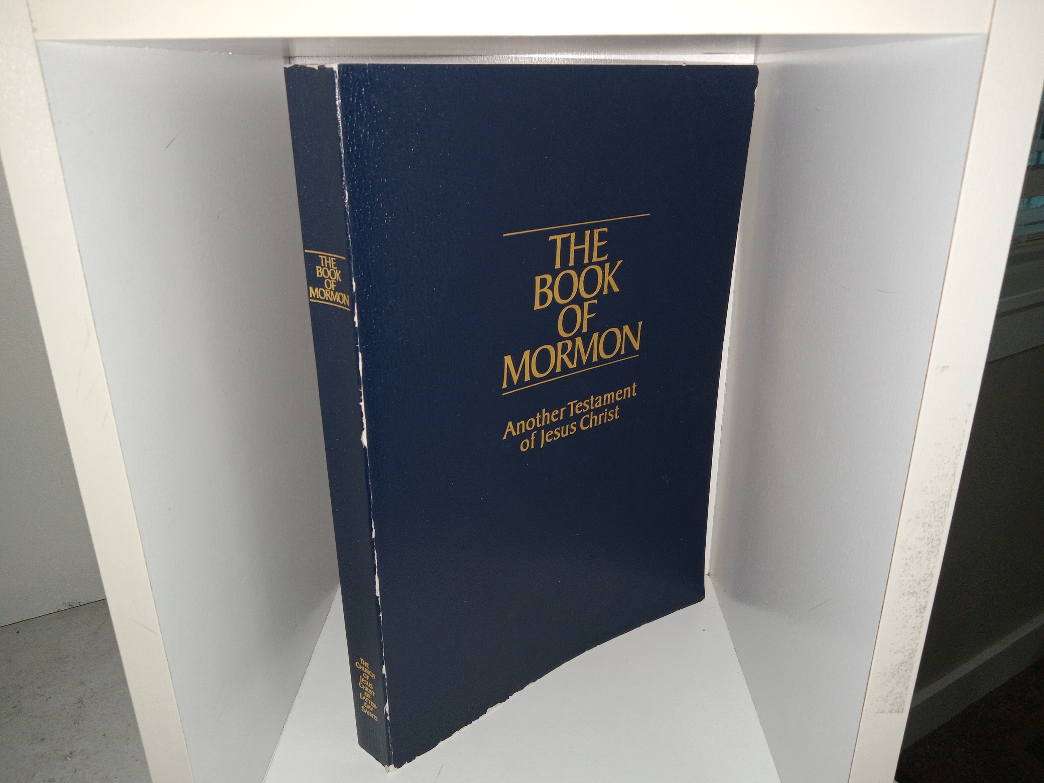 The Book of Mormon: Another Testament of Jesus Christ (Large Print ...