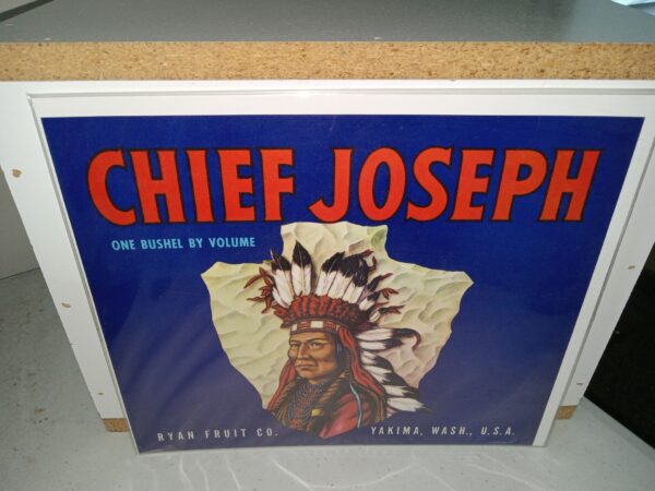 Original Chief Joseph Ryan Fruit Co. Label (Collectible)