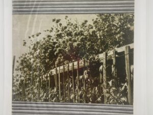 Relief Society Magazine Vol 30 No. 9 September, 1943. Owned by Elder Joseph Merrill