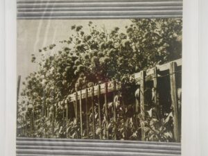 Relief Society Magazine Vol 30 No. 9 September, 1943. Owned by Elder Joseph Merrill