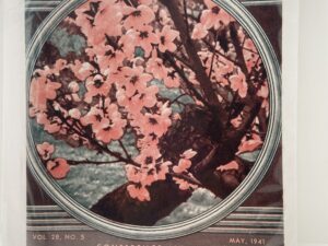 Relief Society Magazine Vol 28 No. 5 May, 1941. Owned by Elder Joseph Merrill