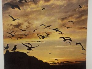 The New Era: Vol. 65 No. 8 August 1962