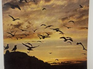 The New Era: Vol. 65 No. 8 August 1962