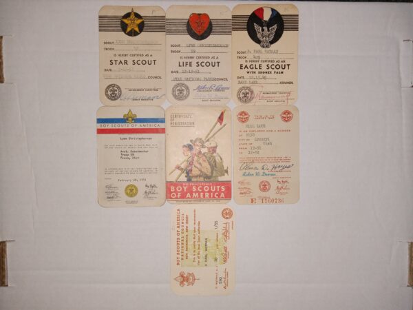 7 Boy Scout Certification Cards