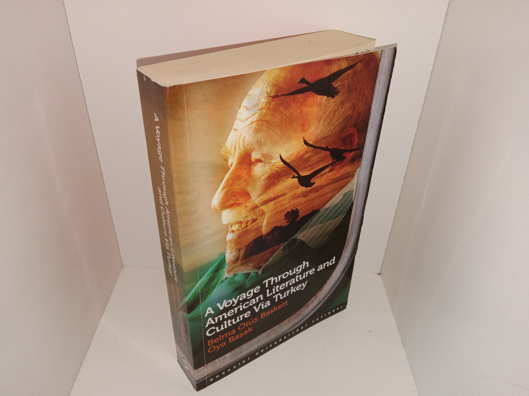 A Voyage Through American Literature and Culture Via Turkey (2011) ~ by Belma Ötüs Baskett, and Oya Basak