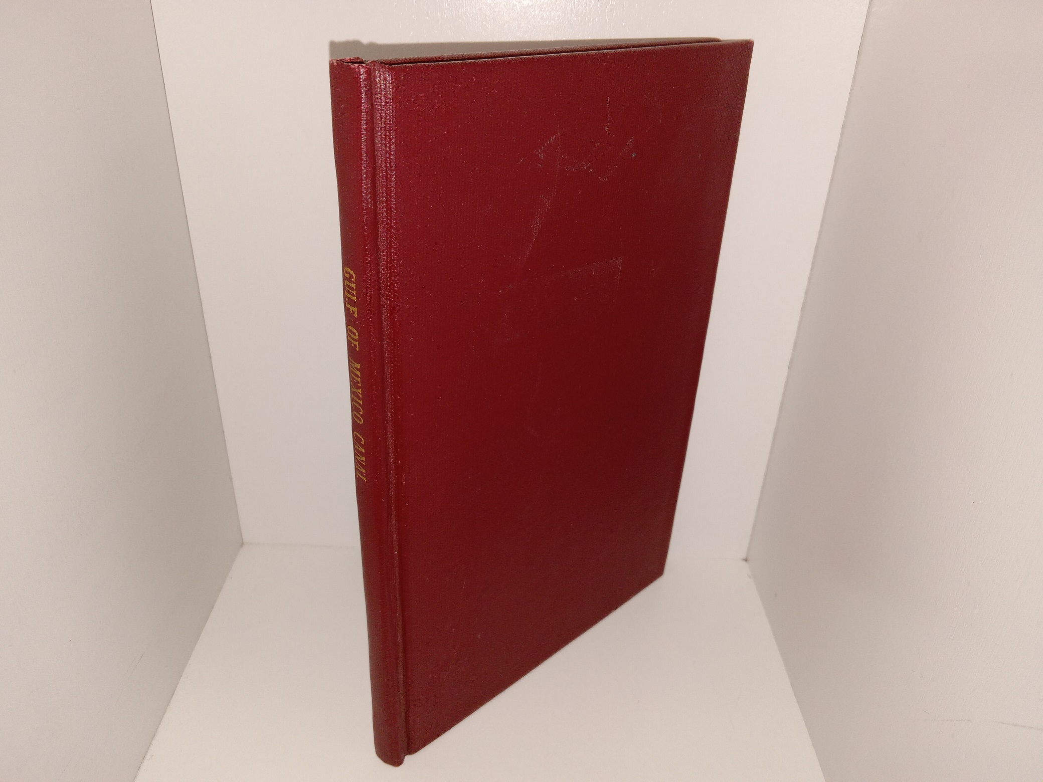 gulf-of-mexico-canal-rebound-in-hardcover-1874-eborn-books