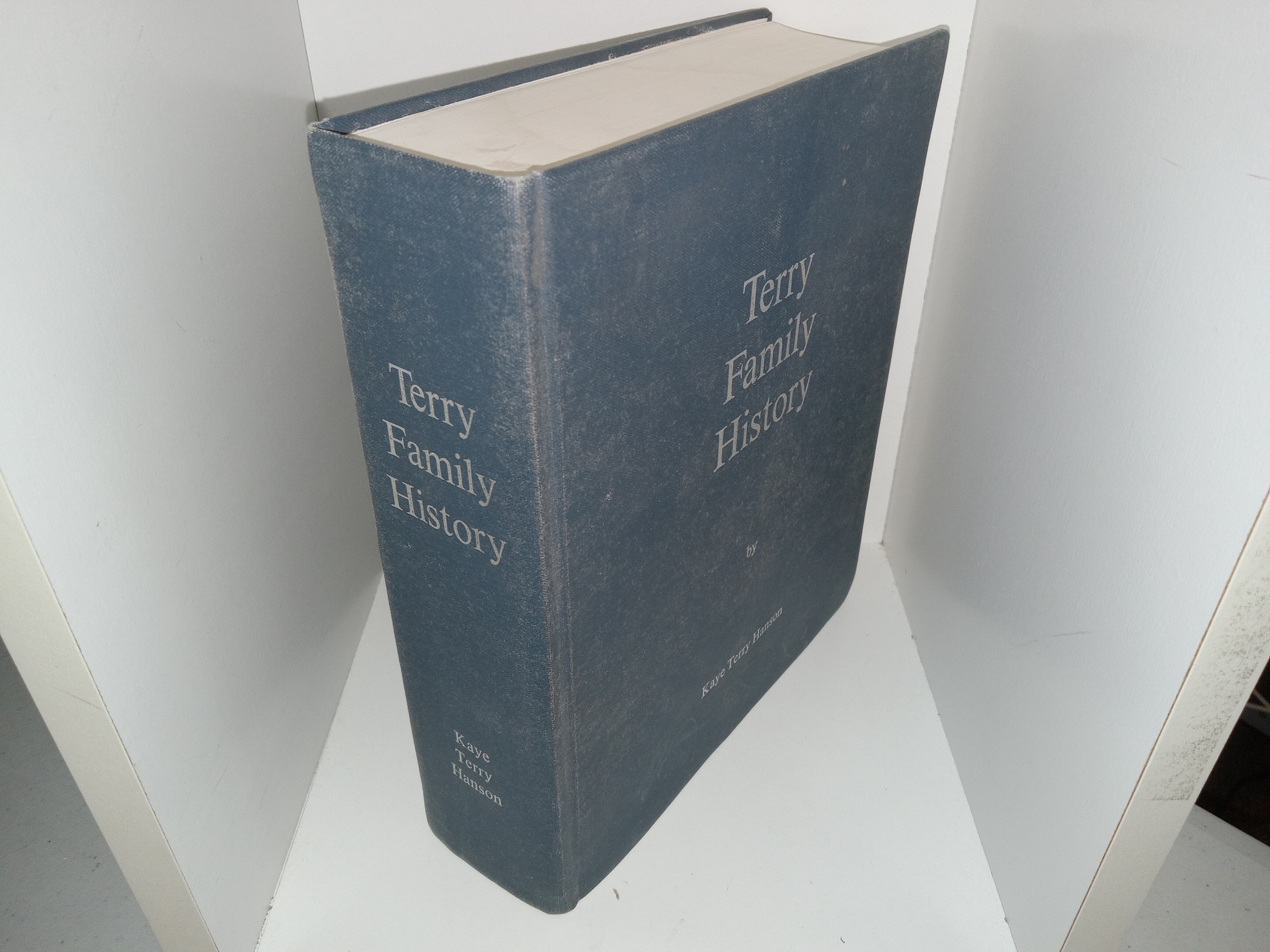 Terry Family History (2002) ~ by Kaye Terry hanson