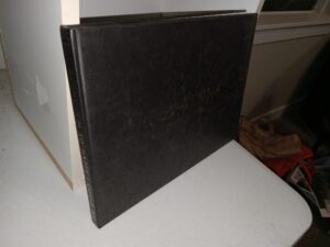 I’m So Happy I Could Die (1st Edition) (2003) ~ by Pia Dehne, Published by Art Berlin Verlag