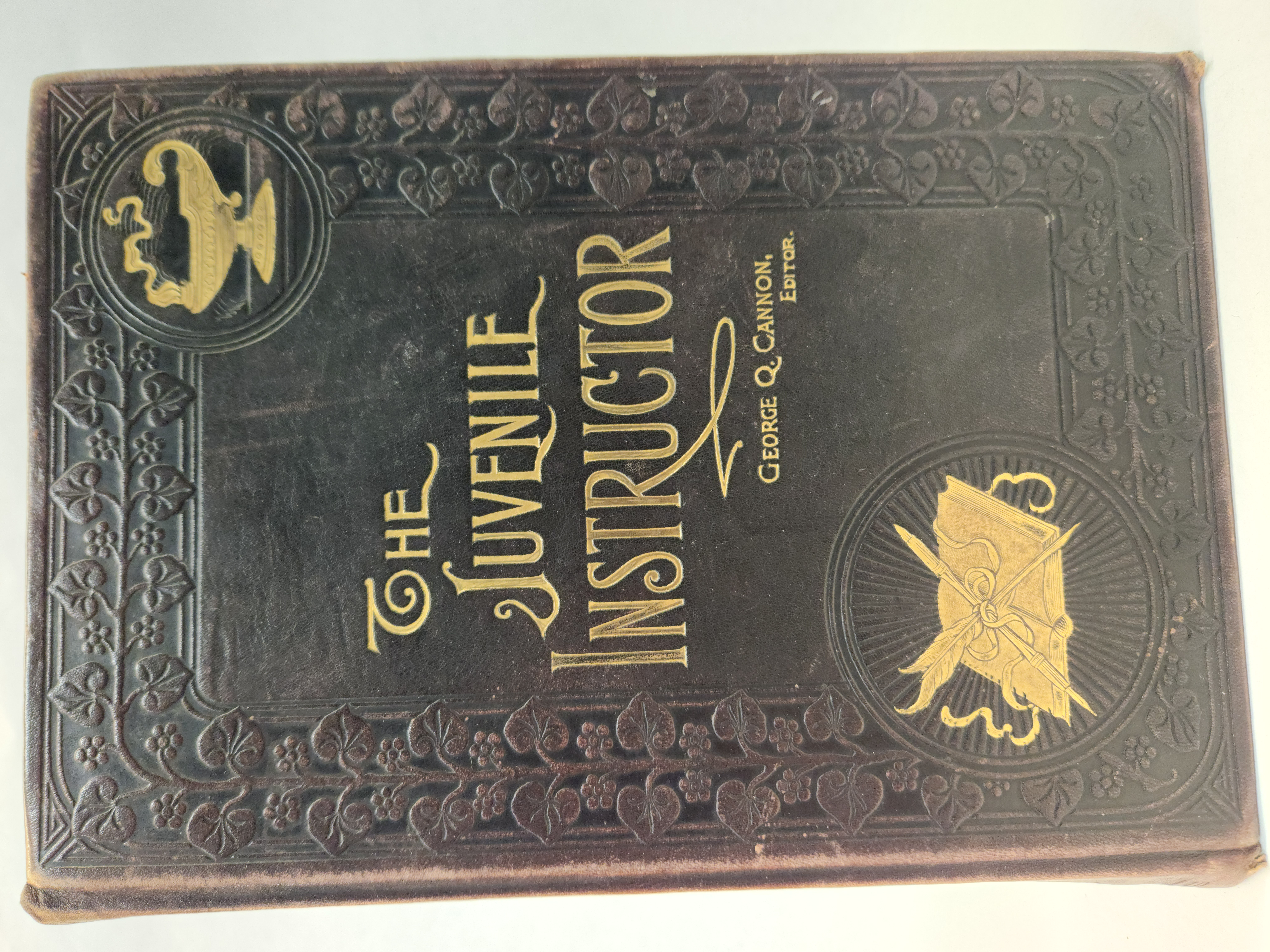 The Juvenile Instructor:: Volume 30 (1895, Hardcover)