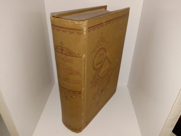 Tankar öfver Daniel och Uppenbarelsen Illustrated (Swedish: Thoughts on Daniel and Revelation) (1887)