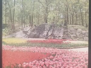 Relief Society Magazine, Volume 53, Number 3 — March 1966 — Single Issue LDS Magazine