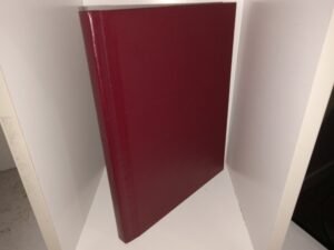 Mae Matis (A Friend’s-Eye View of You) (Unknown Publishing Date) ~ by Elta T. Jackson