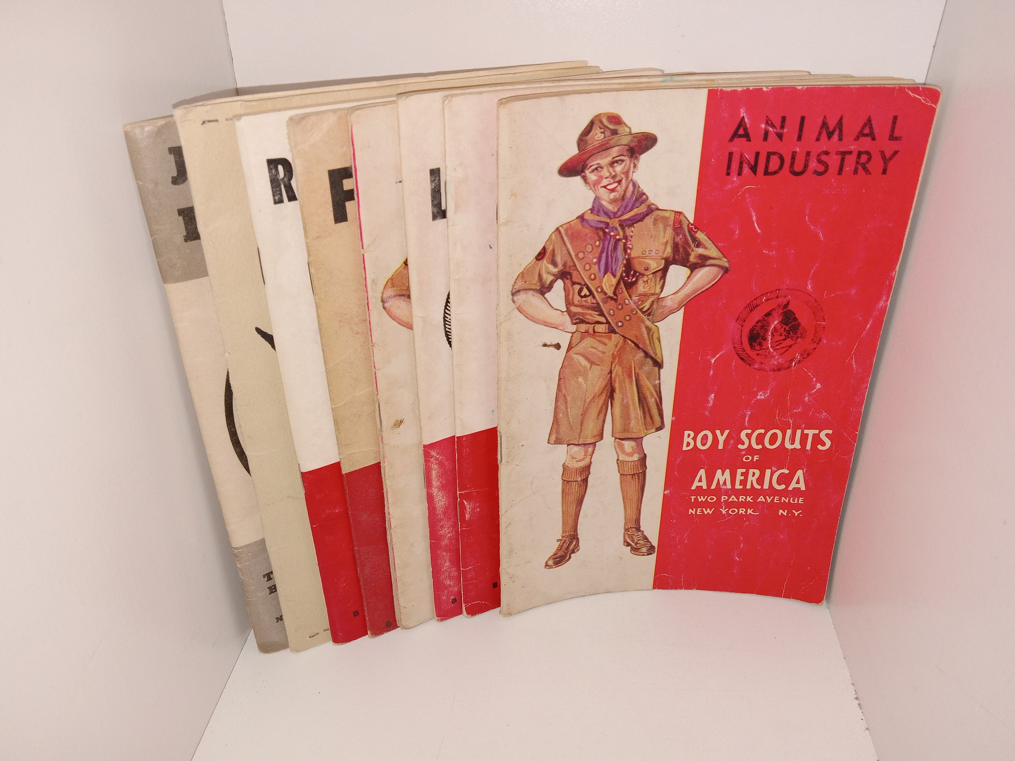 8 Boy Scout Booklets (See Details)