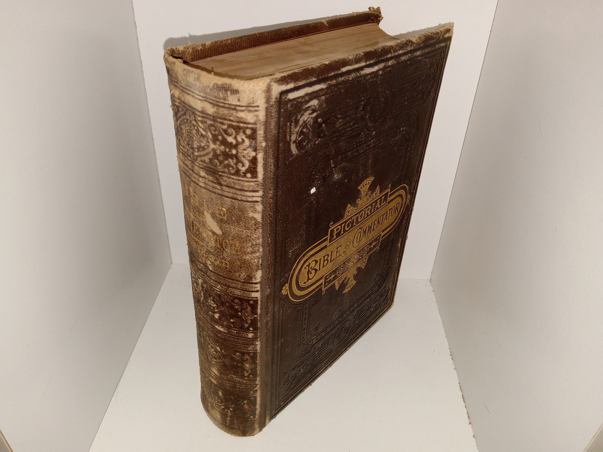 Pictorial Bible and Commentator (1882) ~ by Ingram Cobbin, V. D. M.