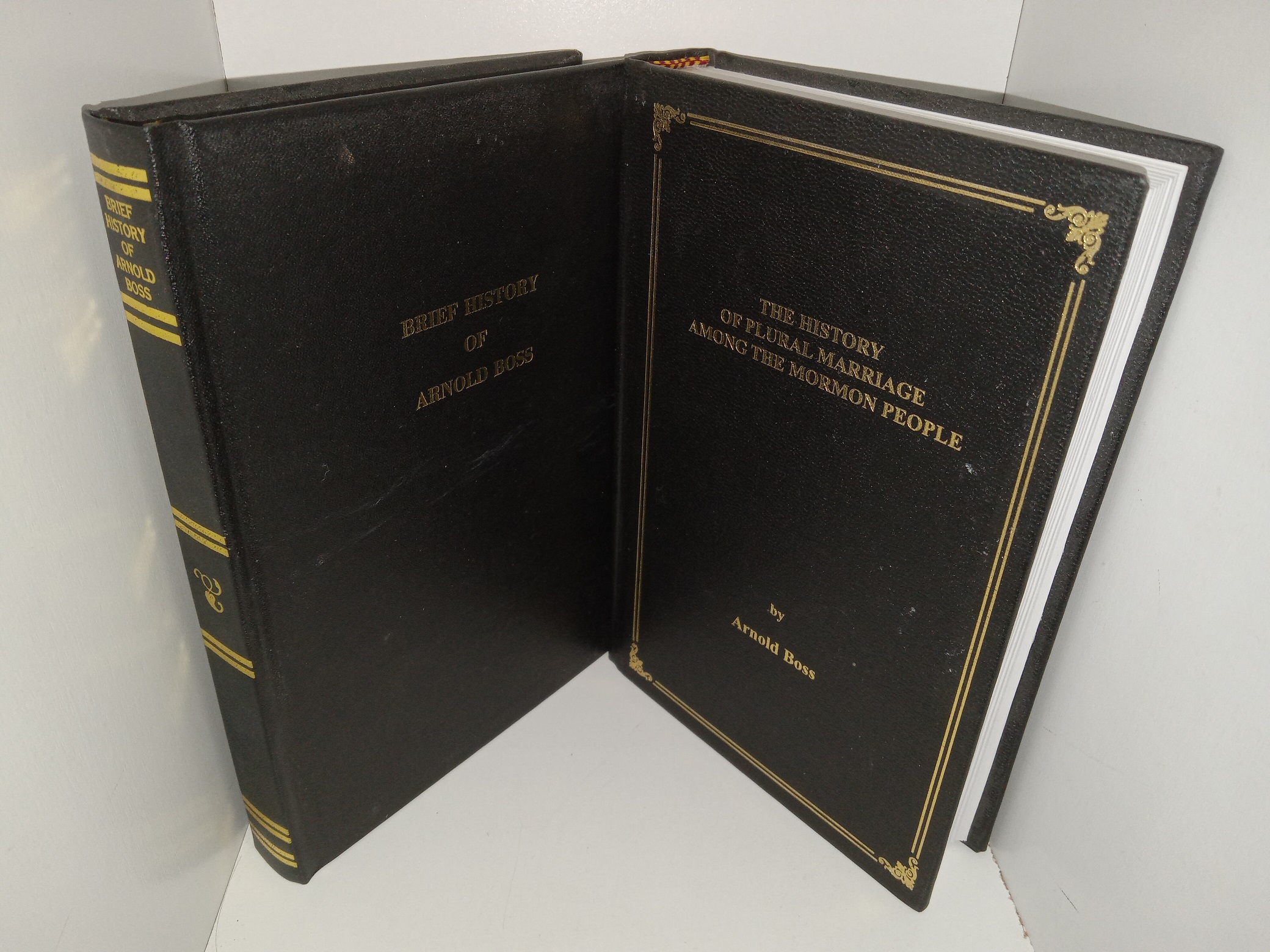 2 Books: History of Plural Marriage / Brief History of Arnold Boss (See Details)