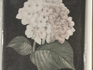 Sign ~ Floral Design Canvas ~ (8.75 in x 8.75 in x .75) ~ Still in plastic