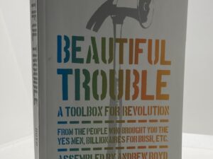 Beautiful Trouble (2016) by Andrew Boyd