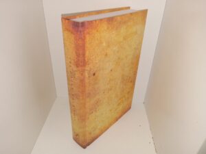 The Daily Walk Bible (2007) ~ Executive Editor Chip Ingram, Contributing Editors John W. Hoover, Paula A. Kirk, and Chris Tiegreen