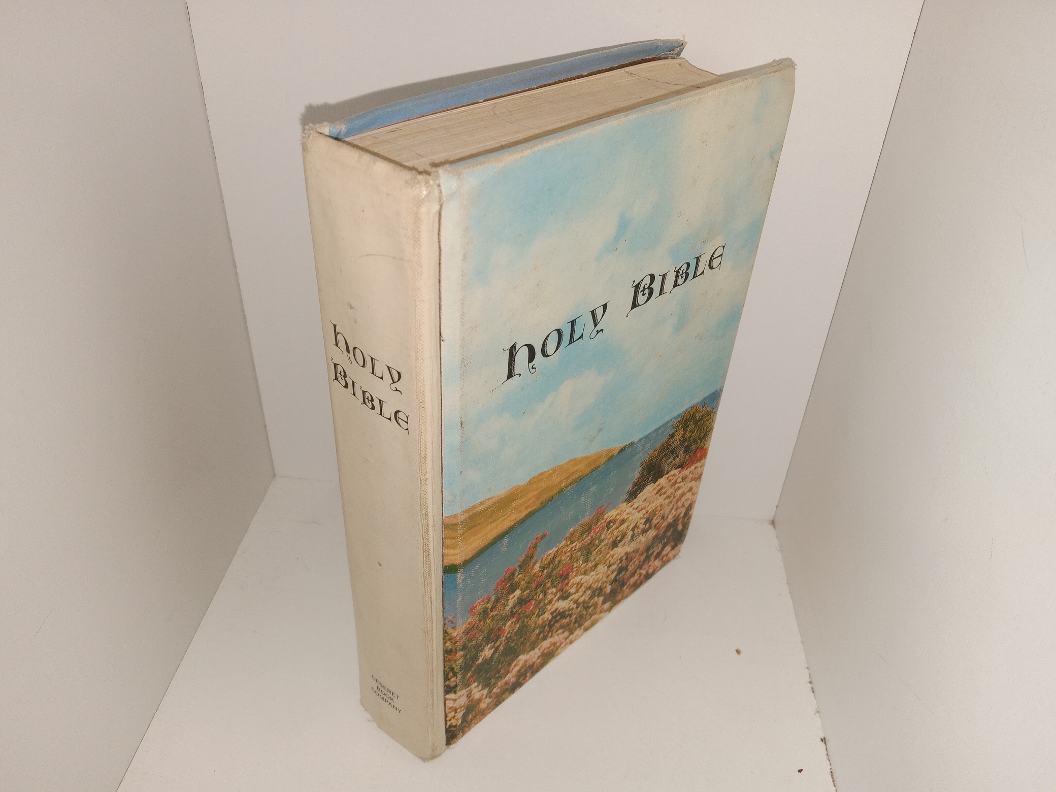 Holy Bible (Unknown Publishing Date)