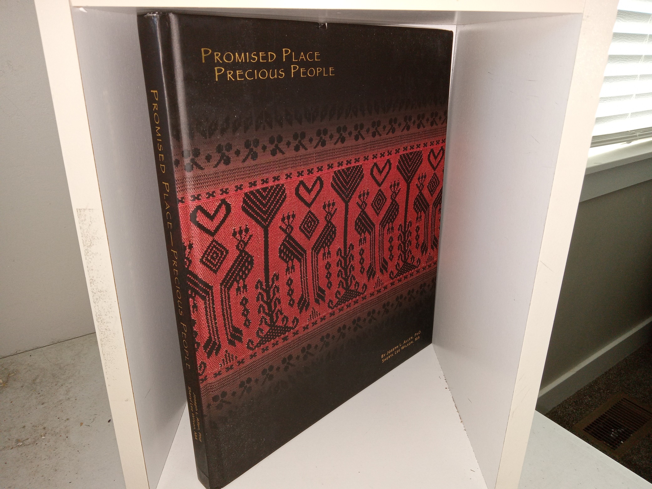 Promised Place, Precious People (2020) ~ by Joseph L. Allen, Ph.D., and Sheryl Lee Wilson, M.A.
