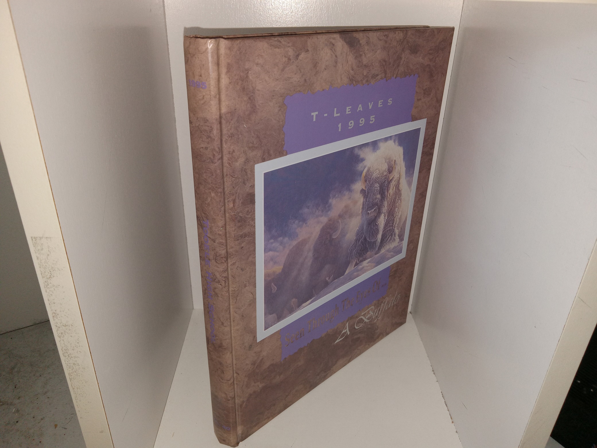 T – Leaves 1995: Seen Through the Eyes of A Buffalo (Tooele High School Yearbook: Vol 40, 1995) (1995)