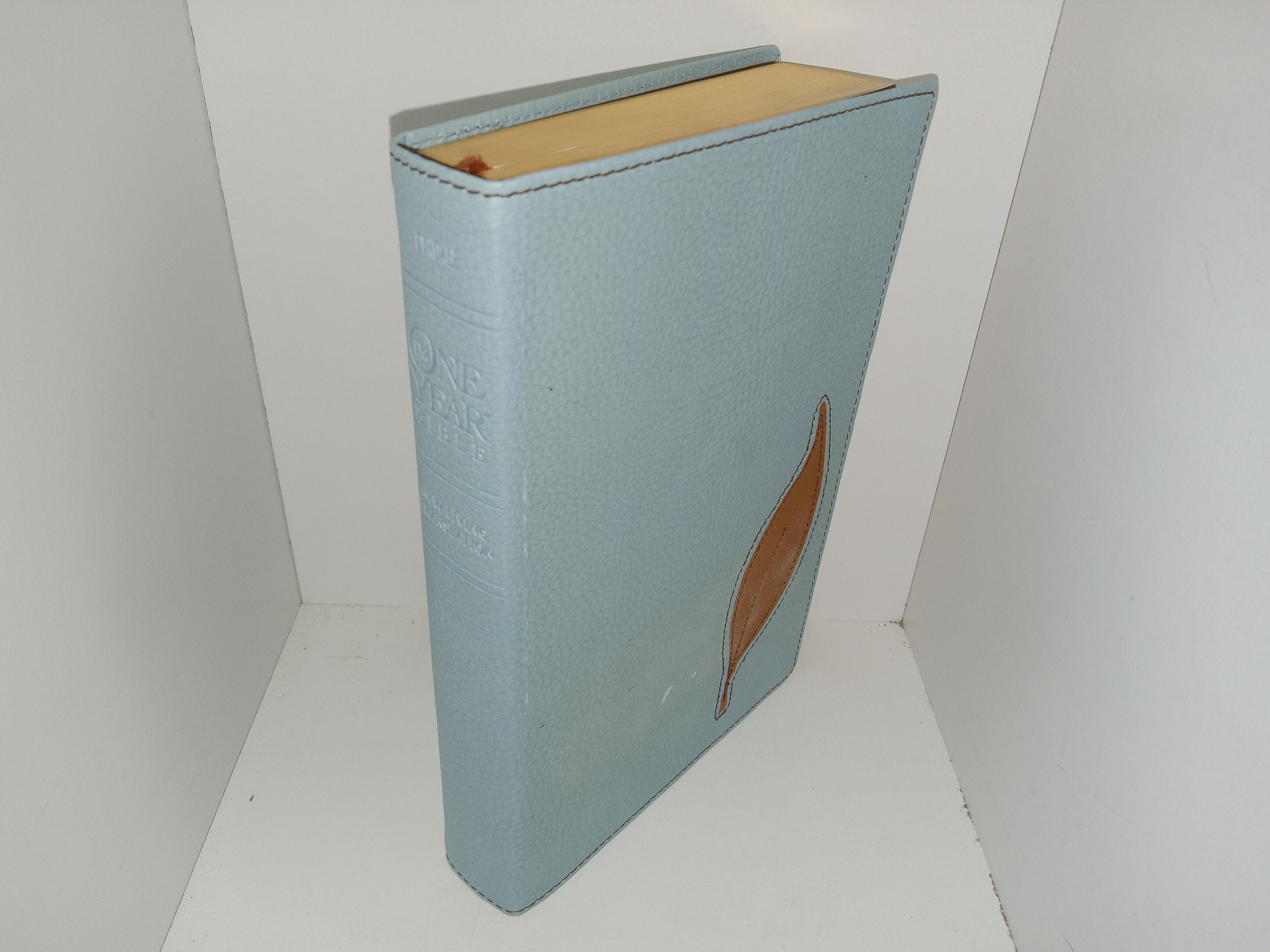 The One Year Bible (TuTone Slimline Edition) (Leatherlike) (2004)