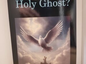 2024 — Who is the Holy Ghost? Three Essays Exploring The Identity And Roles Of The Holy Ghost Especially In Sanctification And Sealing, His Place In The Godhead, Spirit, Spiritual Augmentation Via “Spiritual DNA,” And Related Topics — Richard D. Gardner — Softbound / NEW