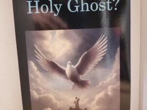 2024 — Who is the Holy Ghost? Three Essays Exploring The Identity And Roles Of The Holy Ghost Especially In Sanctification And Sealing, His Place In The Godhead, Spirit, Spiritual Augmentation Via “Spiritual DNA,” And Related Topics — Richard D. Gardner — Softbound / NEW