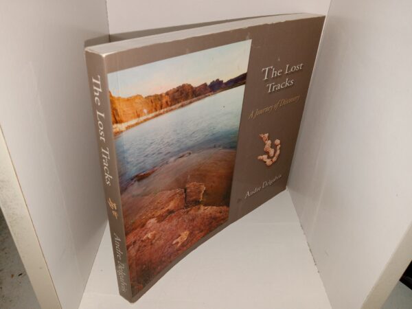 The Lost Tracks: A Journey of Discovery (2015) ~ by Andre Delgalvis