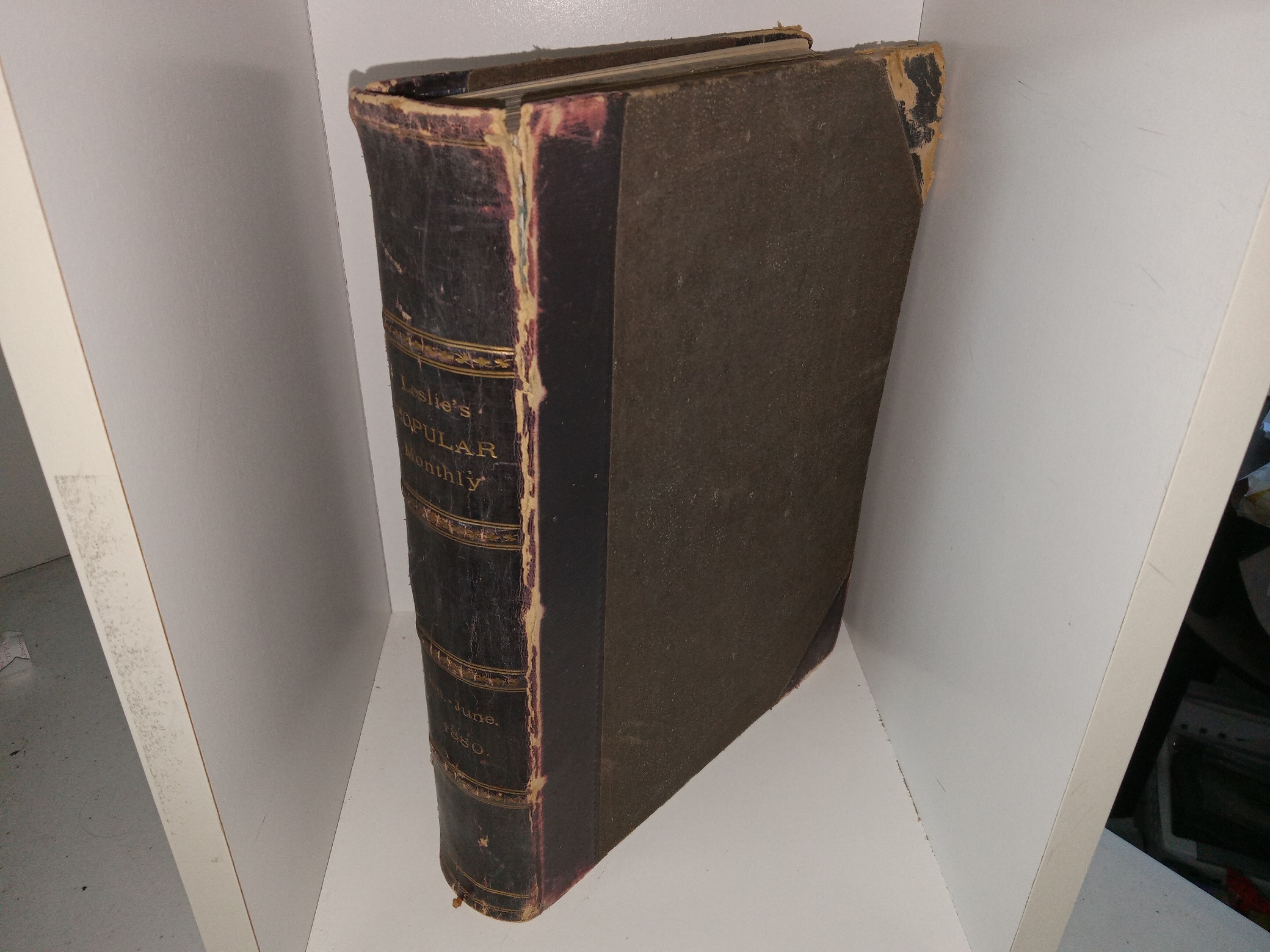 Leslie’s Popular Monthly: Jan.-June, 1880 (Leather Spine) (1880)