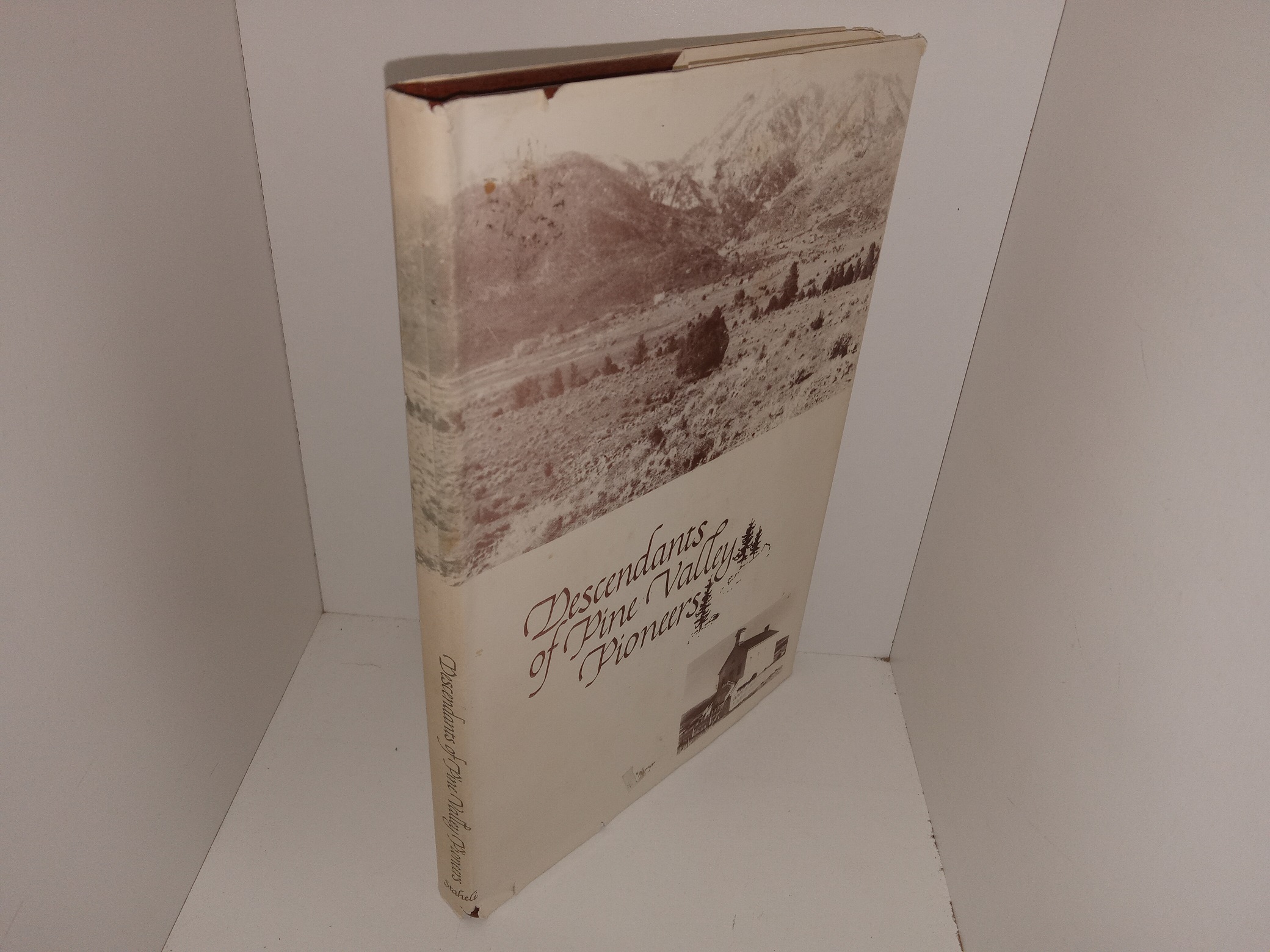 Descendants of Pine Valley Pioneers (Signed) (1980) ~ by Mary Esther Staheli