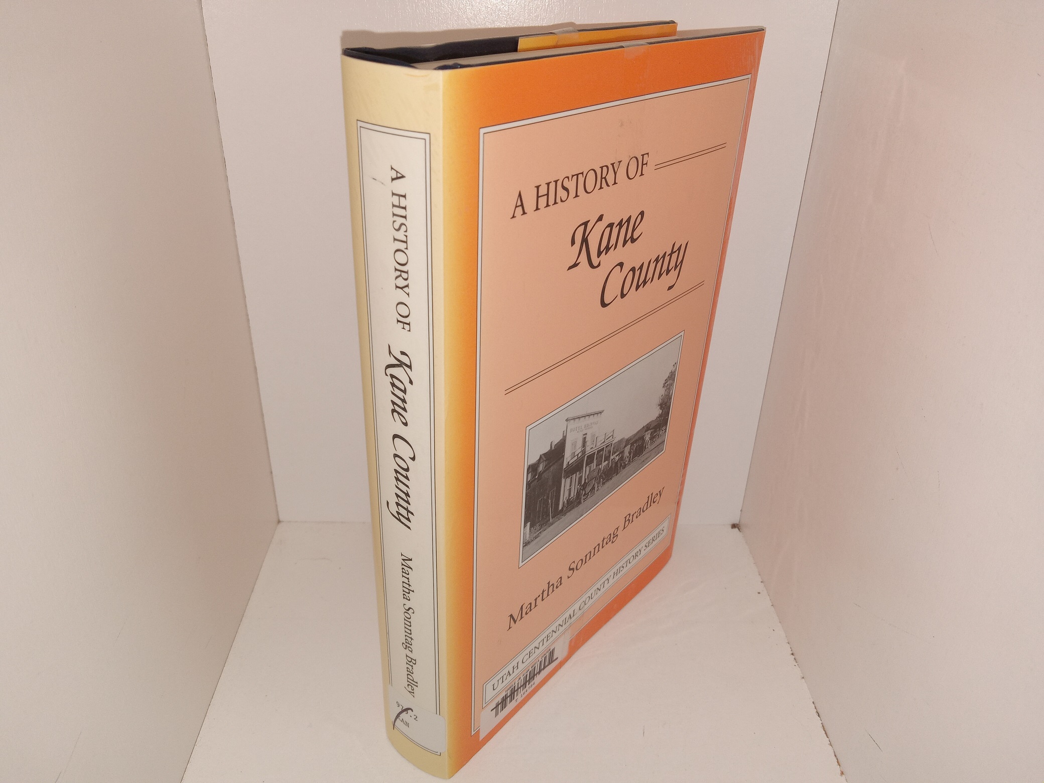 A History of Kane County (Ex-Library) (1999) ~ by Martha Sonntag Bradley
