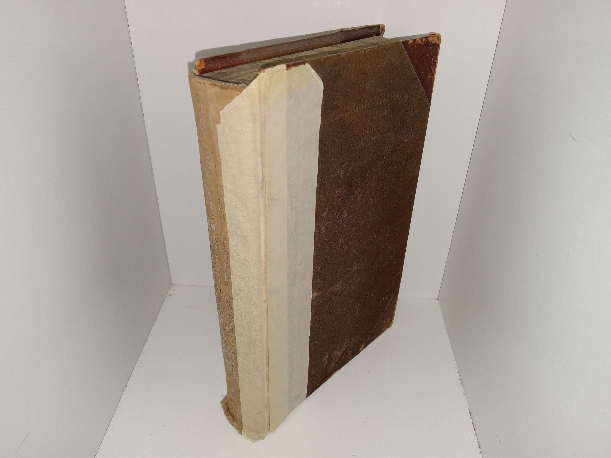 The Latter-day Saints’ Millennial Star: Vol. 43 (1881)