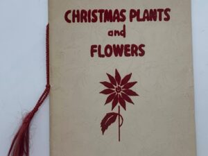 Christmas Plants and Flowers