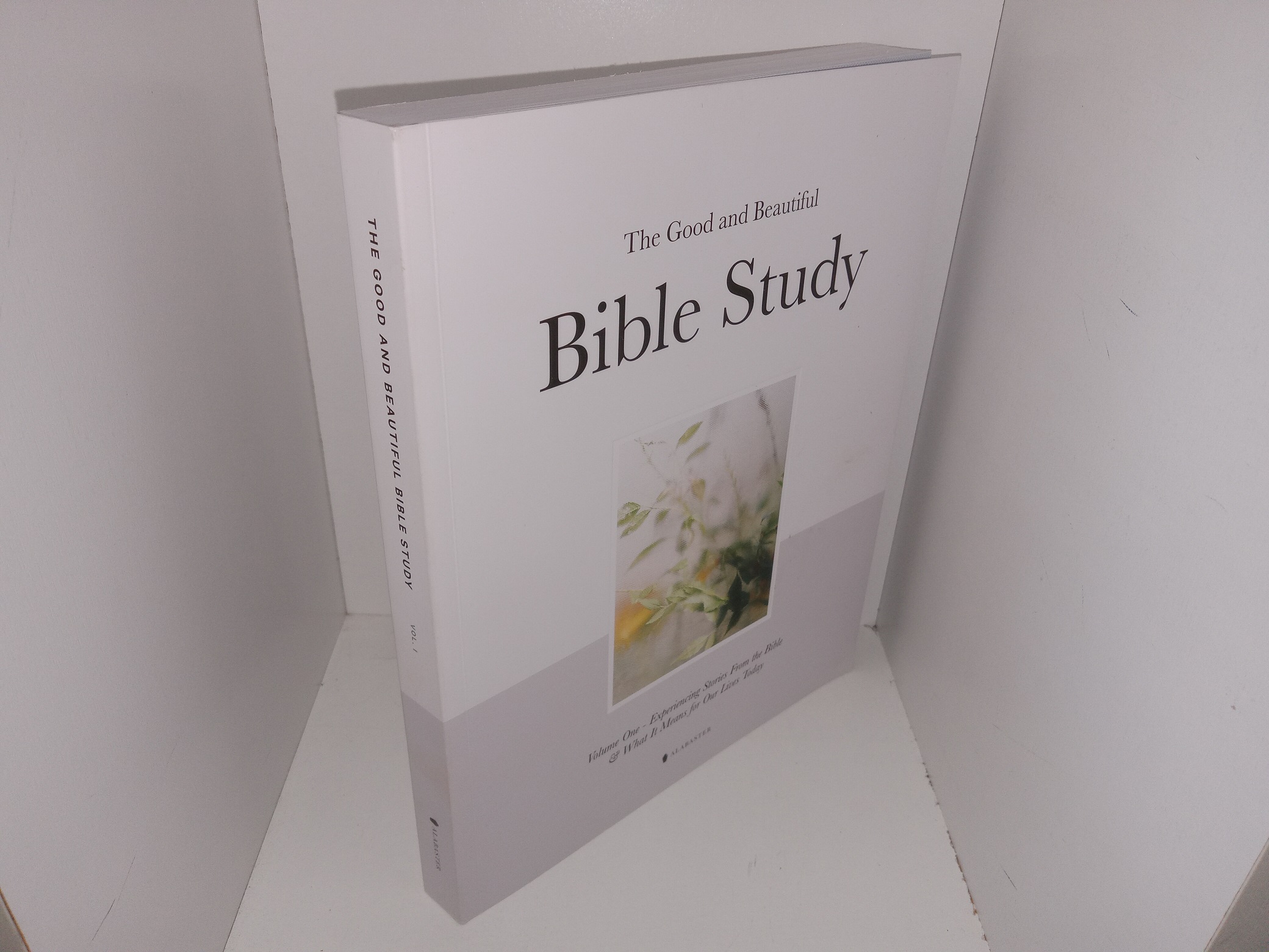 The Good and Beautiful bible Study: Vol. 1 – Experiencing Stories From the Bible & What It Means for Our Lives Today (2022) ~ Unknown Author