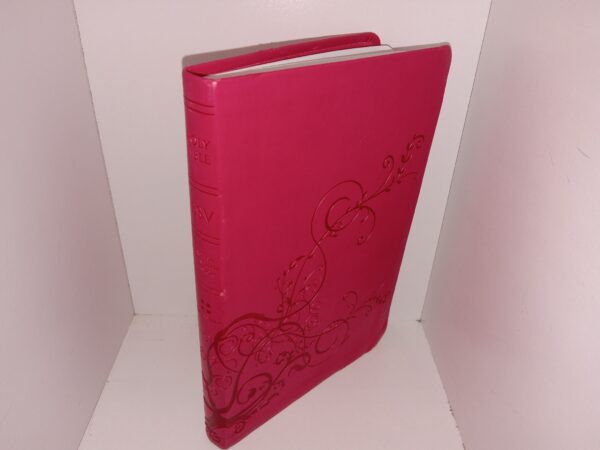 Holy Bible: English Standard Version (Pink Leather) (2011)