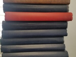 12 Book Bundle — Hymns of The Church of Jesus Christ of Latter-day Saints — 12 Copies