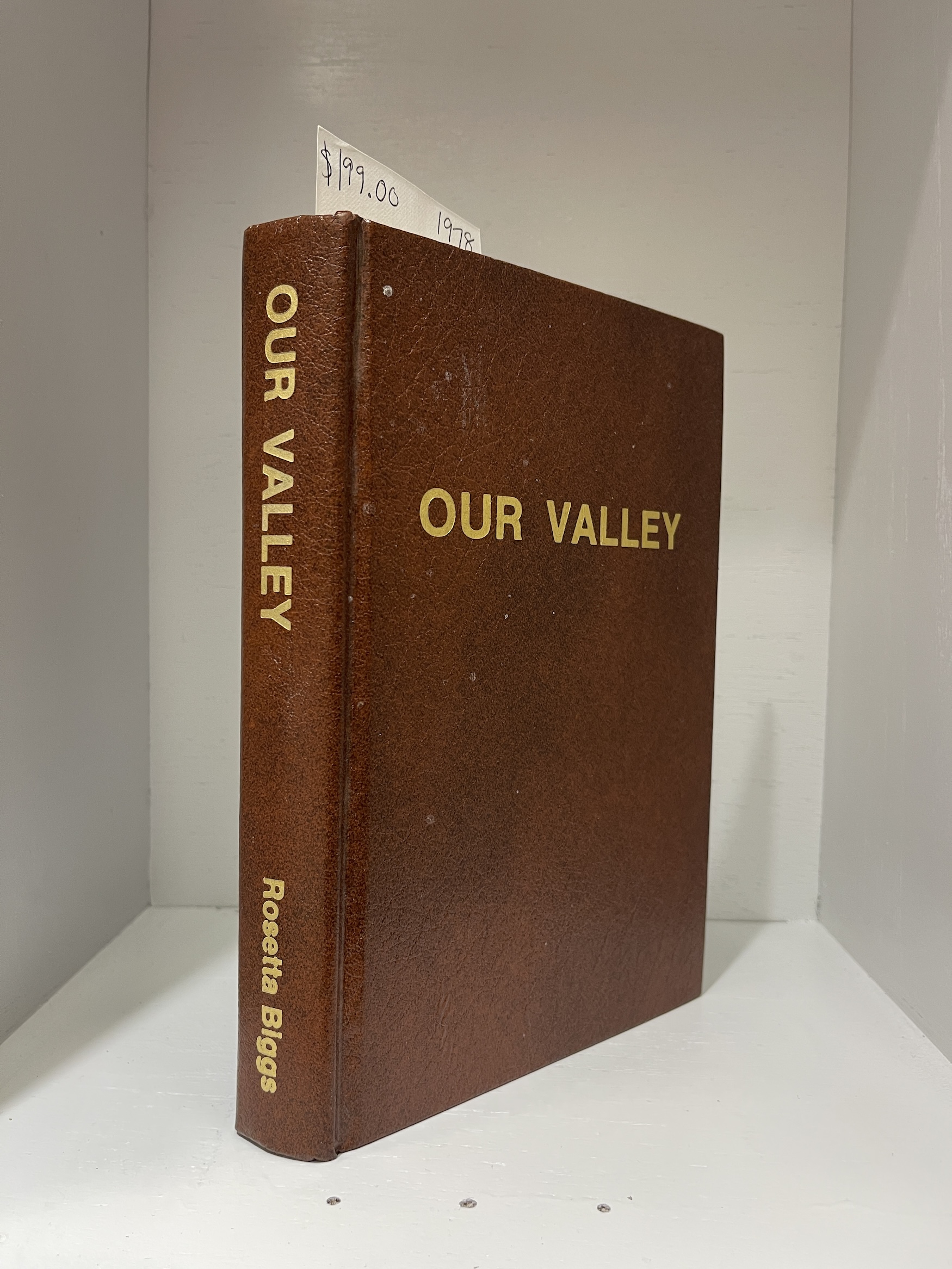 1978- Our Valley- Rosetta Biggs- Hardcover