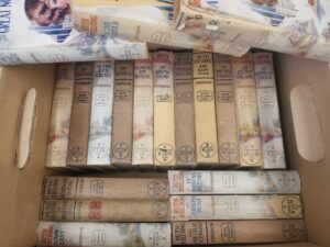 20 Volume Collection:  Ruth Fielding Series — Alice B. Emerson — Hardcovers