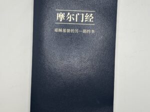 Chinese Book of Mormon (2008)
