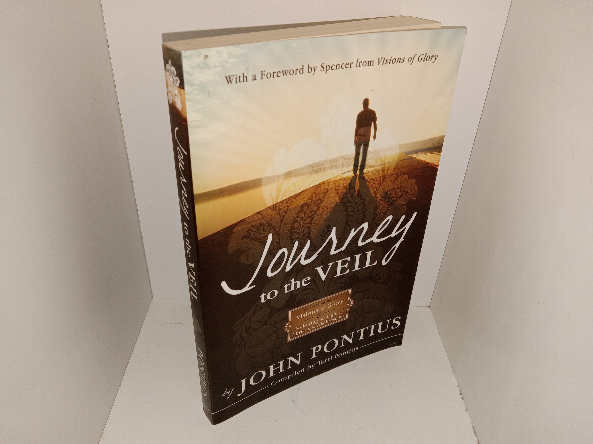 Journey to the Veil (2013) ~ by John Pontius