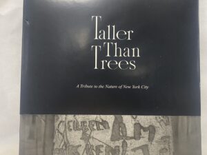 Taller Than Trees – Mary Reilly – Hardcover – 2022