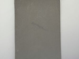 Primary Sunday School Lessons booklet from 1930