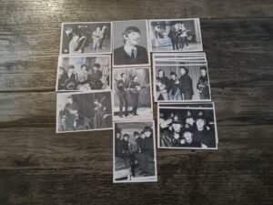 9 Different Collectible Beetles Cards (Nos. 132 and 149 Come in Multiples) (The Signatures are Printed)