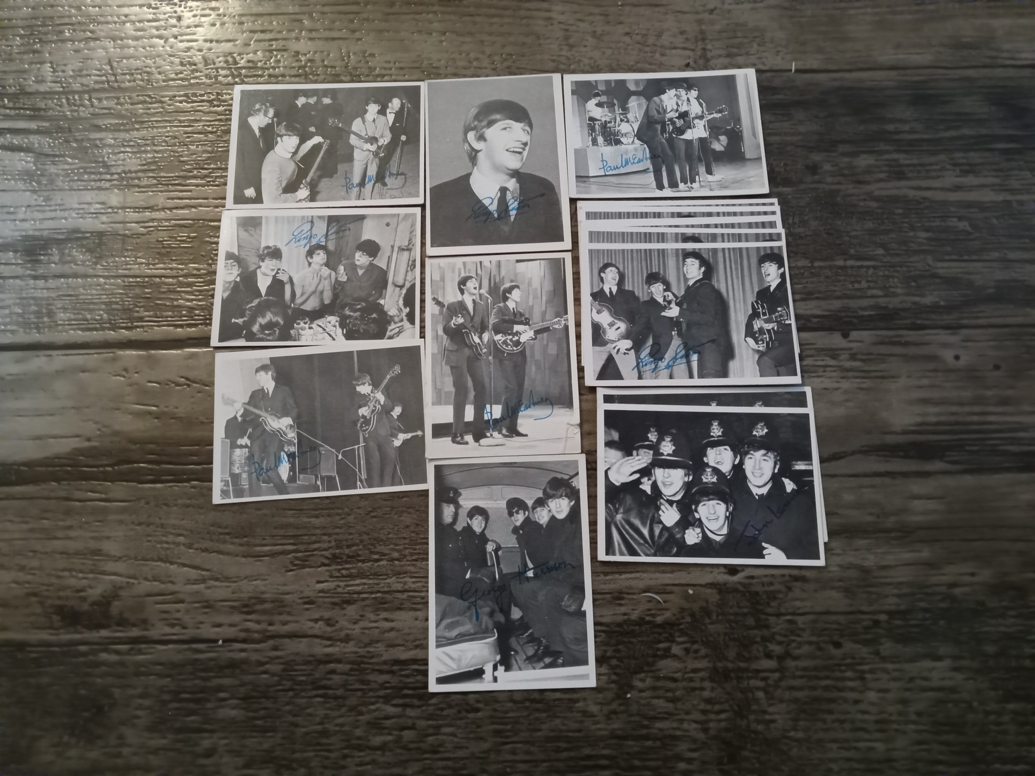 9 Different Collectible Beetles Cards (Nos. 132 and 149 Come in Multiples) (The Signatures are Printed)