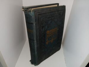 Maternity for Maidens—Wives—Mothers: A Book Giving Full Information on All the Mysterious and Complex Matters Pertaining to Women (1901) ~ by Mary R. Melendy, M. D., Ph. D.