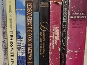 Bundle —- 9 Books About the Book of Mormon
