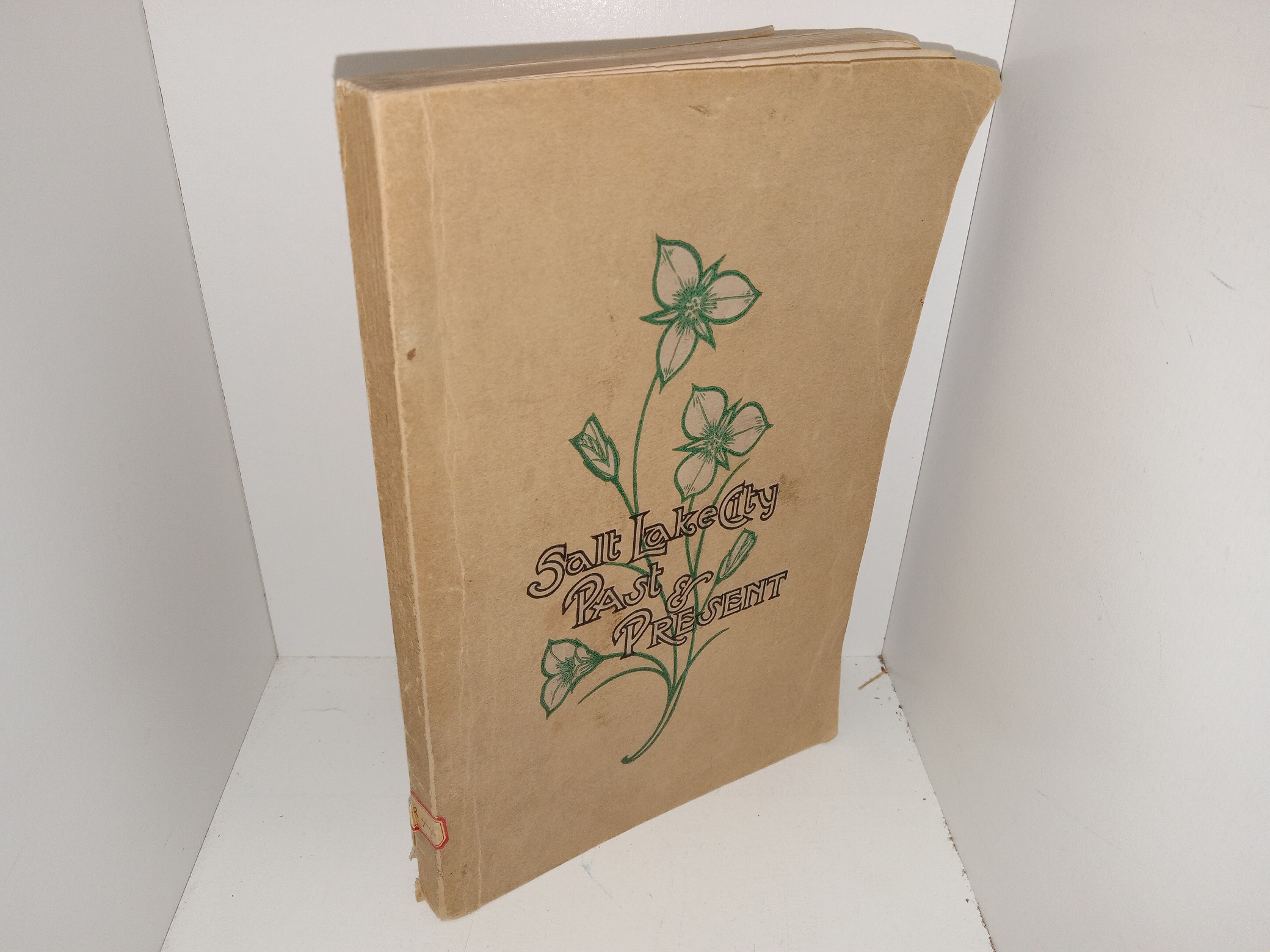 Salt Lake City Past & Present (1908) ~ by E. V. Fohlin