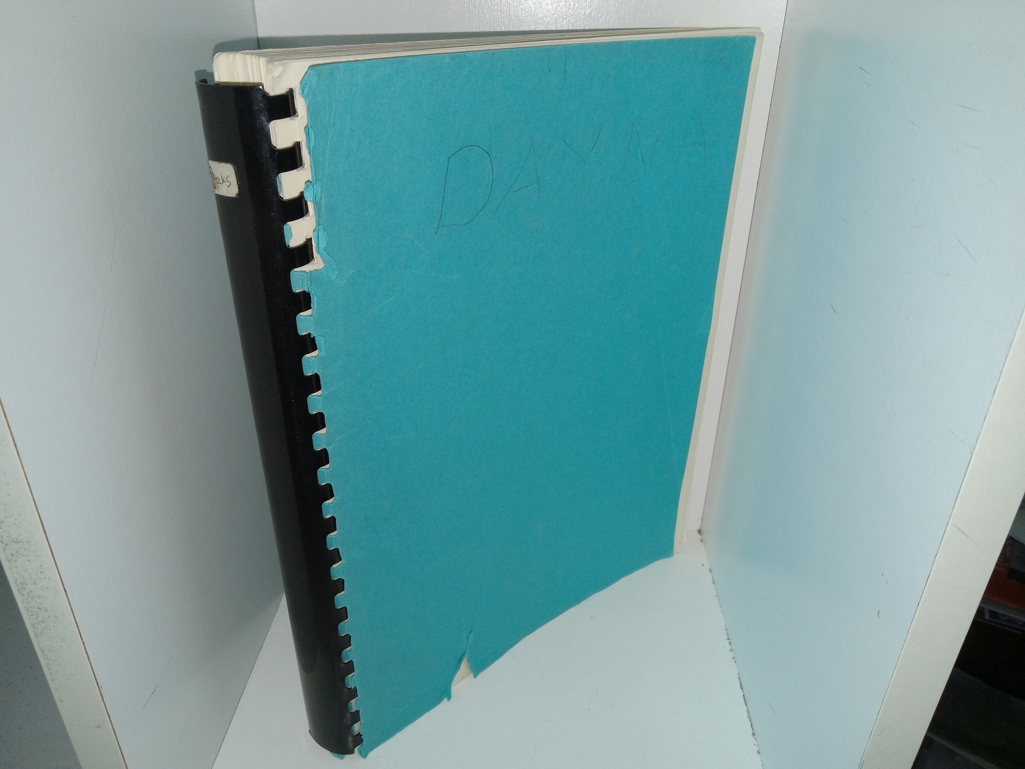 Dayna (Unknown Publishing Date) ~ Unknown Author